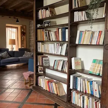 Les Myosotis 阿塞斯