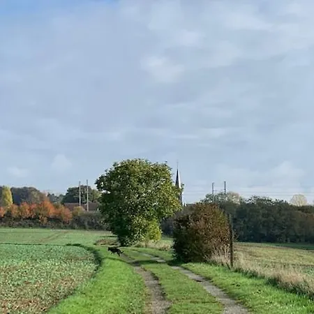 Les Myosotis Bed & Breakfast 3*