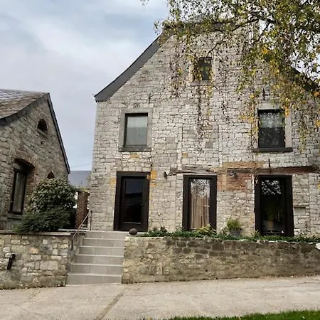 Les Myosotis 阿塞斯