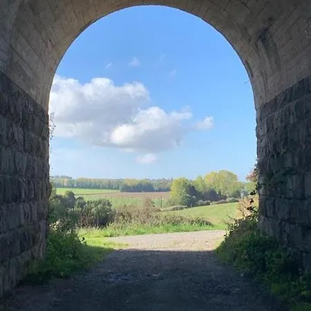 Les Myosotis Bed & Breakfast Assesse