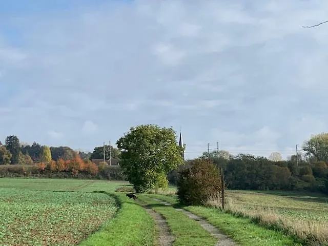 Les Myosotis Bed & Breakfast 3*