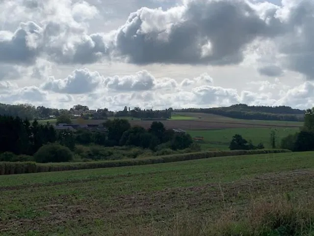 Bed & Breakfast Les Myosotis