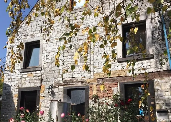 Bed & Breakfast Les Myosotis 3*