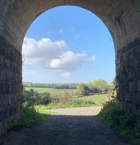 Les Myosotis Bed & Breakfast Assesse